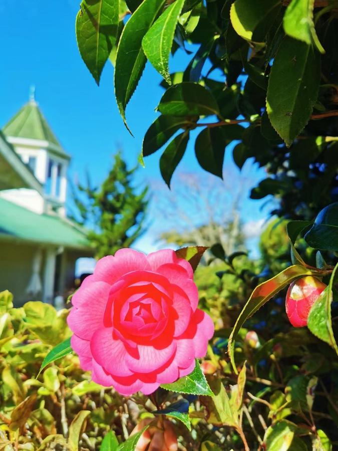 乡村别墅庄园住宿加早餐旅馆 Ngongotaha 外观 照片